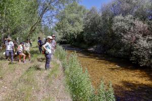 La restauración fluvial avanza hacia un modelo integral que combina ciencia, gobernanza y participación social